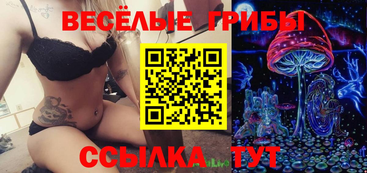 Галлюциногенные грибы Psilocybine cubensis Серов