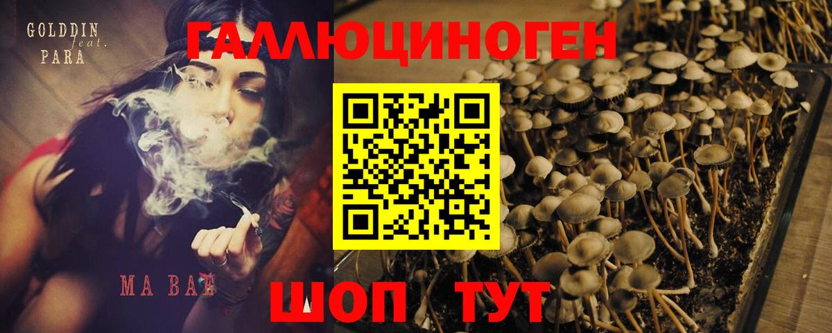 Галлюциногенные грибы мицелий  Вход с VPN  Серов 